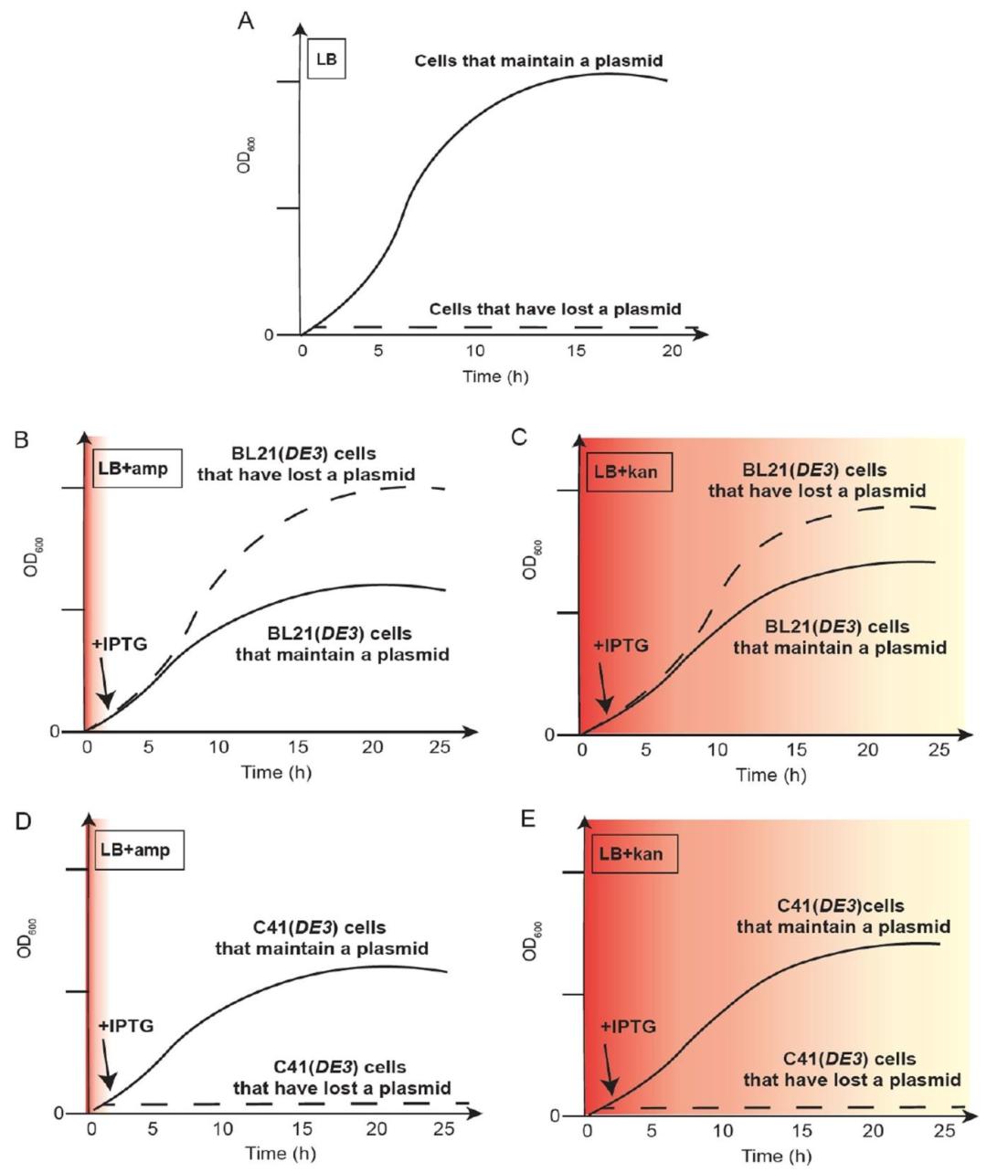 新闻333.jpeg 新闻333.jpeg