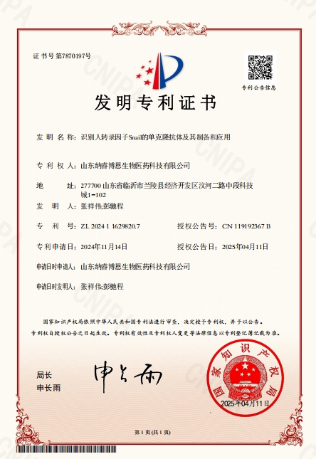 Snail专利证书
